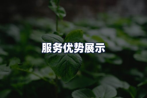 服务优势展示